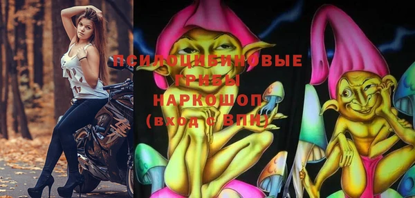 мет Алексин