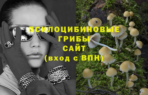 MESCALINE Алзамай